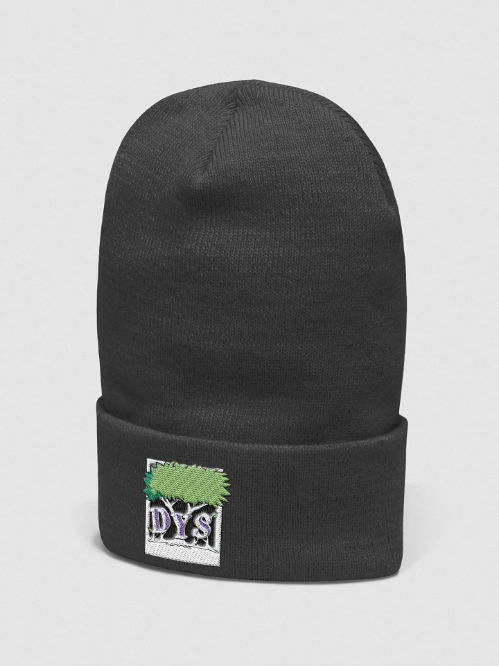 DYS hat product image (2)