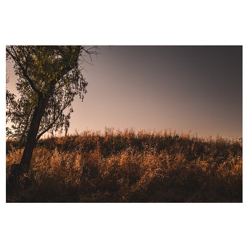 Golden light 📸
#leicaq3 #sunsetphotography