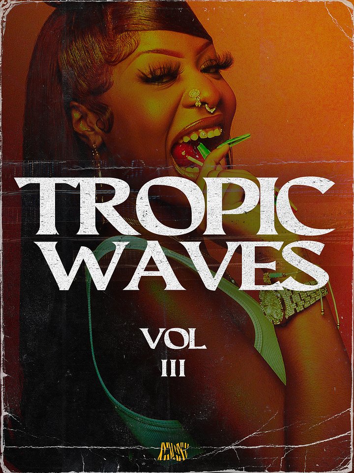 Tropic Waves III (Dancehall Shatta - Moombahton Melody pack) product image (1)