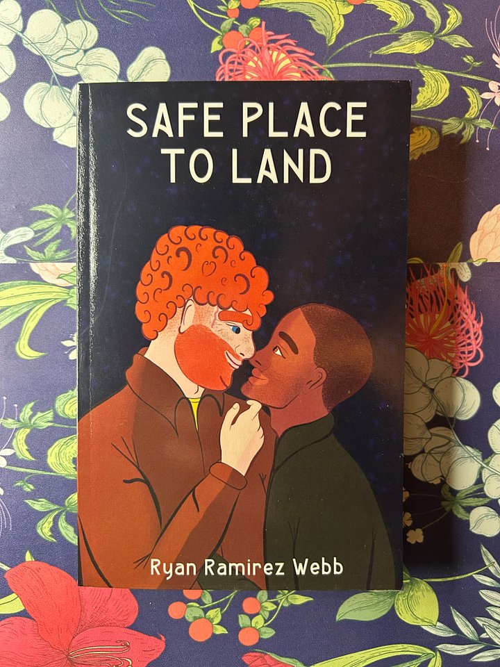 Safe Place to Land Paperback (Out of Print Edition) product image (1)