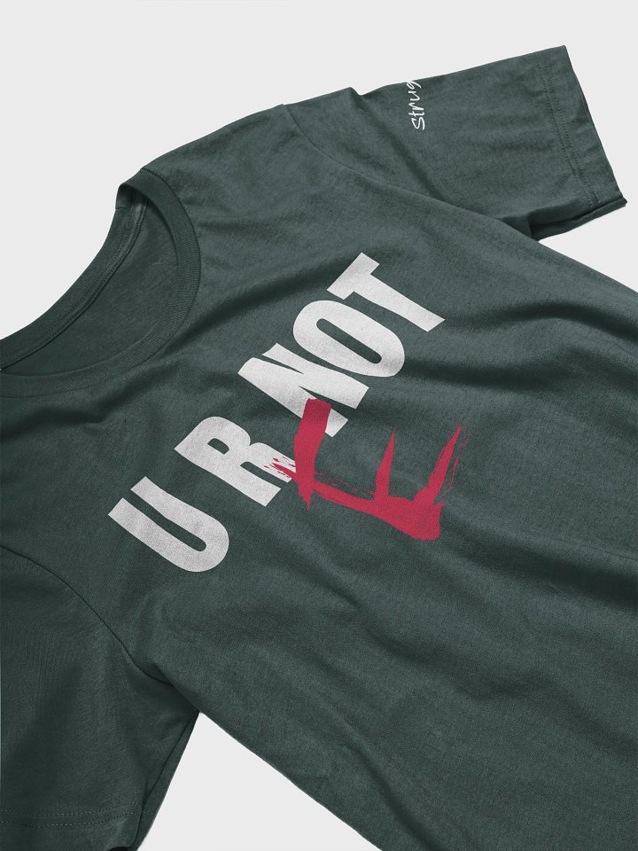 You Are Not Ready product image (2)