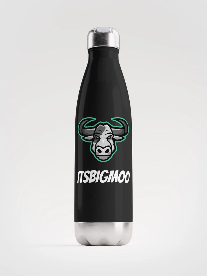 Water Bottle product image (1)