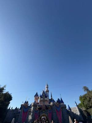 Tickle Crew Meet-up at #Disneyland!  #juniepat #ticklecrew #twitch #twitchstreamers 