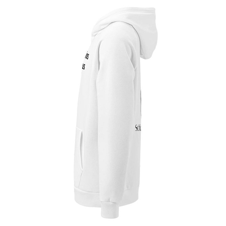 Schizo Studios UnderArmor Hoodie (New Logo - White) product image (2)