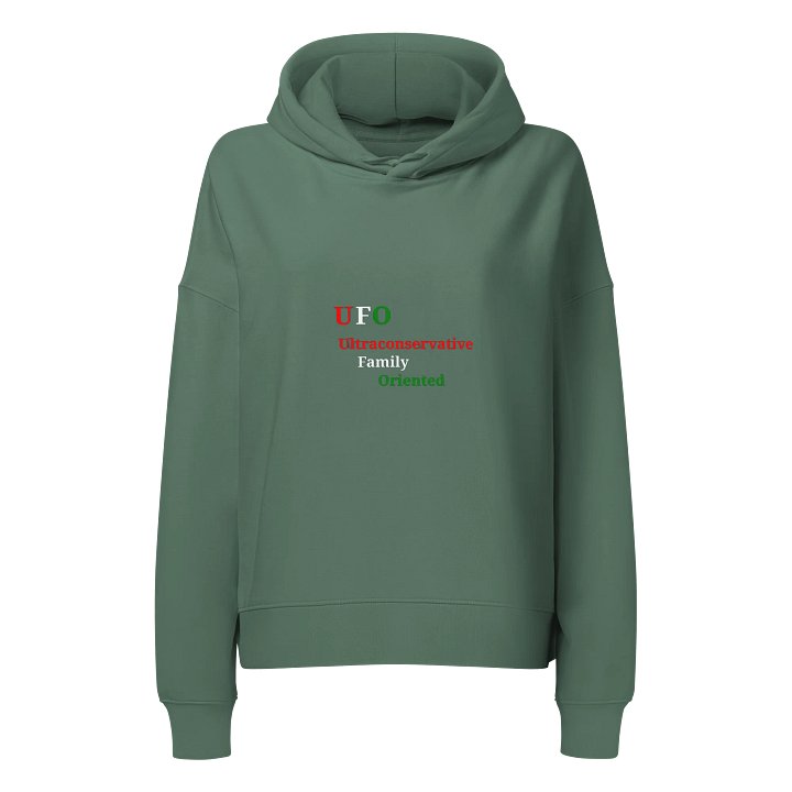 UFO Ultraconservative Family Oriented Hoodie product image (1)
