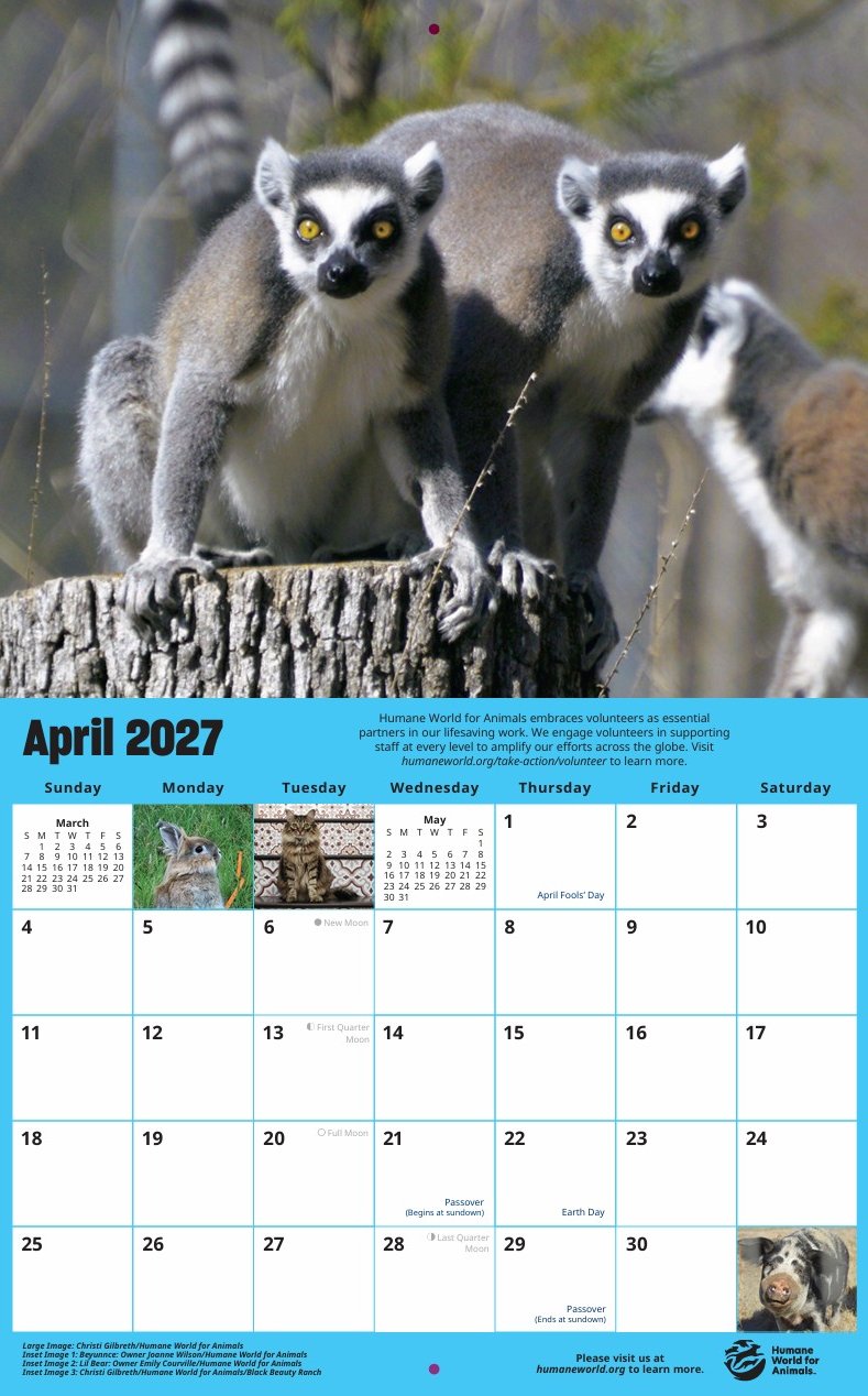 2027 Animal Lover's Wall Calendar product image (3)