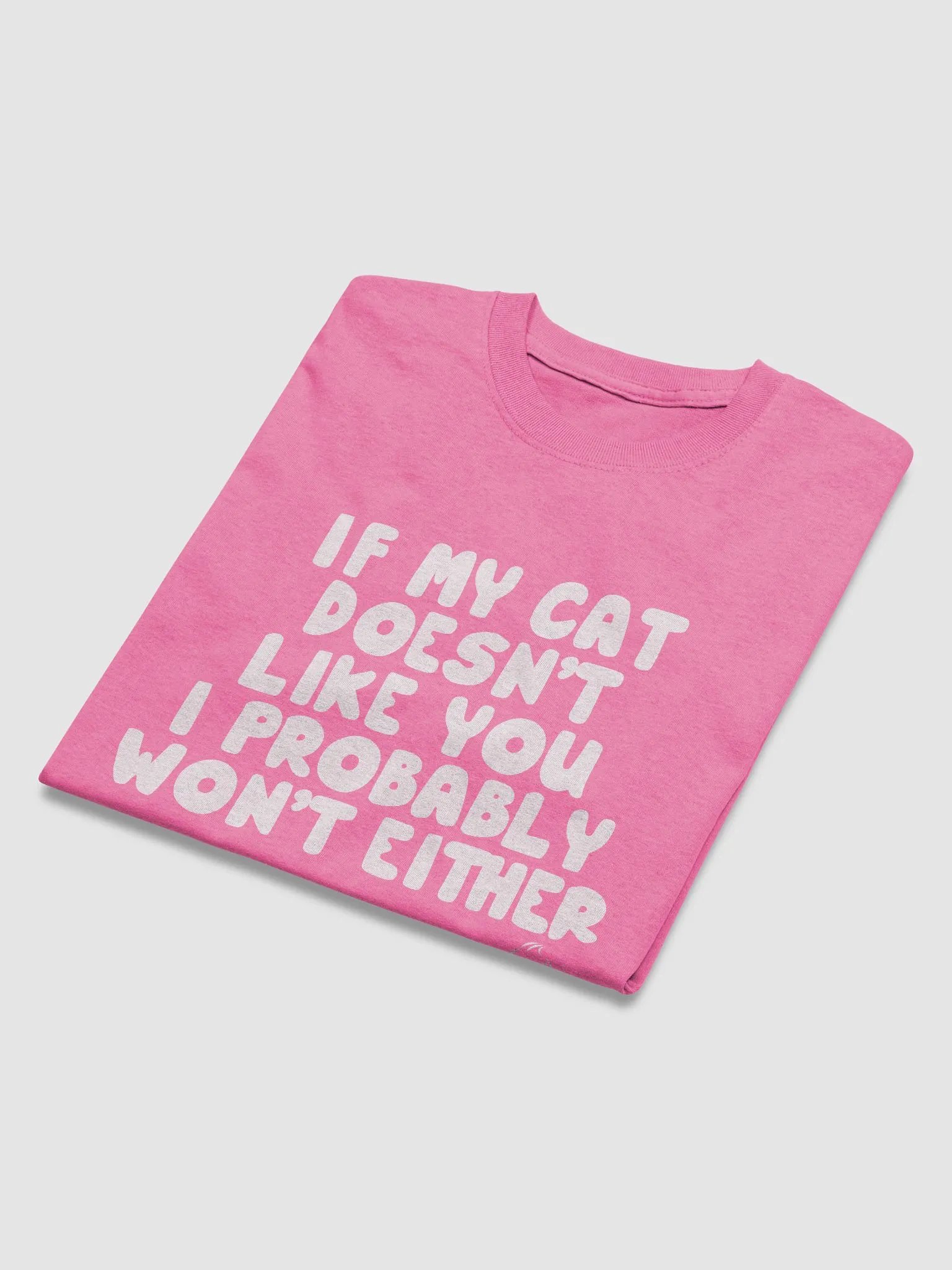 Cat doesn't like you - shirt product image (43)