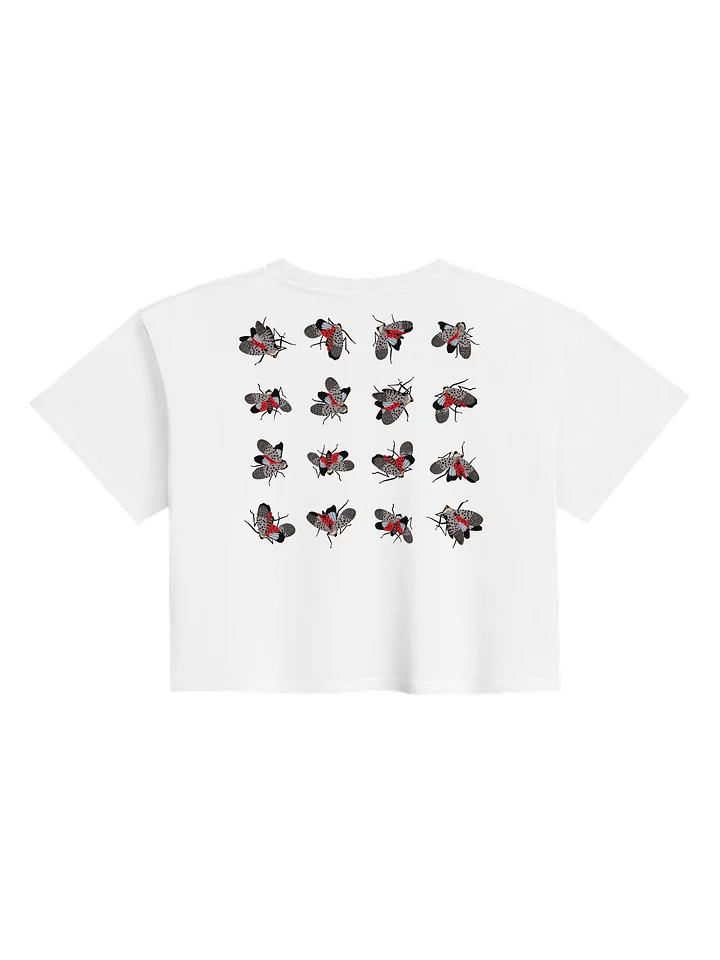 Cropped product image (2)