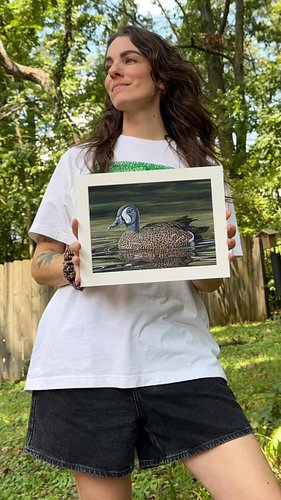 this years duck is DONE!!!!!! Cobbler (who is a blue-winged teal) is my best entry yet. I can’t wait to see him get judged li...