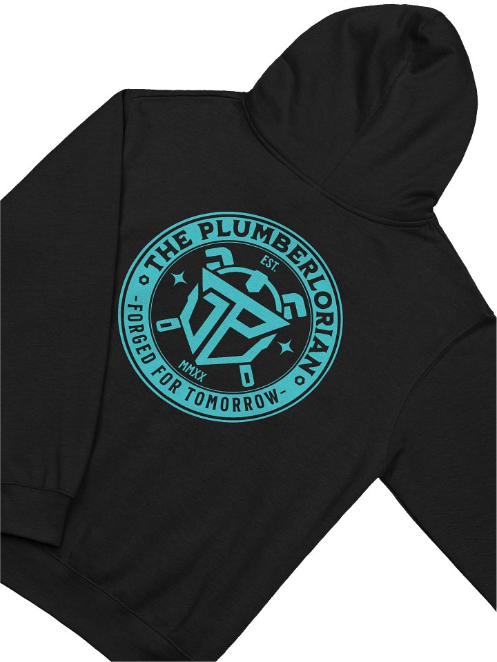 FORGED HOODIE (TEAL LOGO) product image (2)