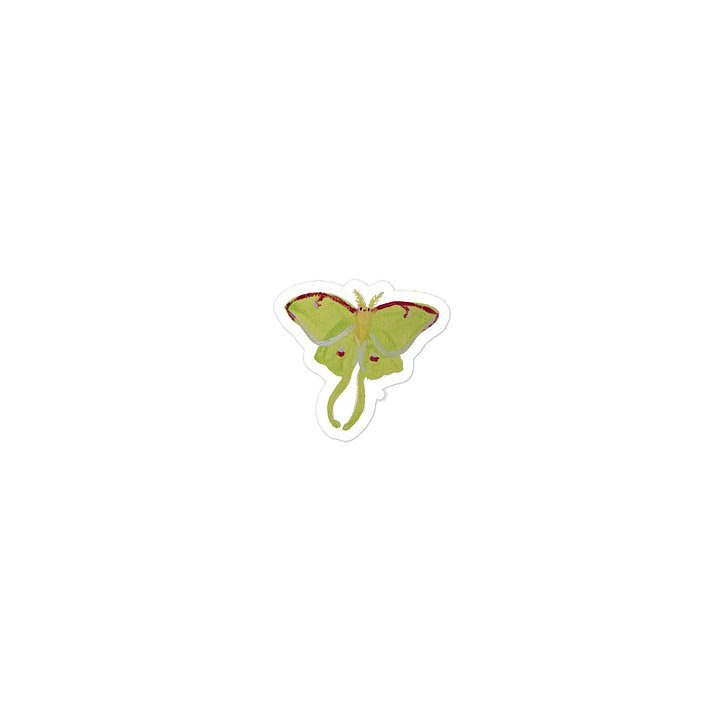 Sticky Bugs - Lunar Moth product image (1)