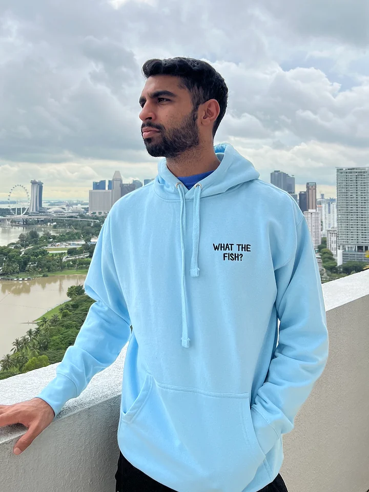 What The Fish Hoodie product image (1)