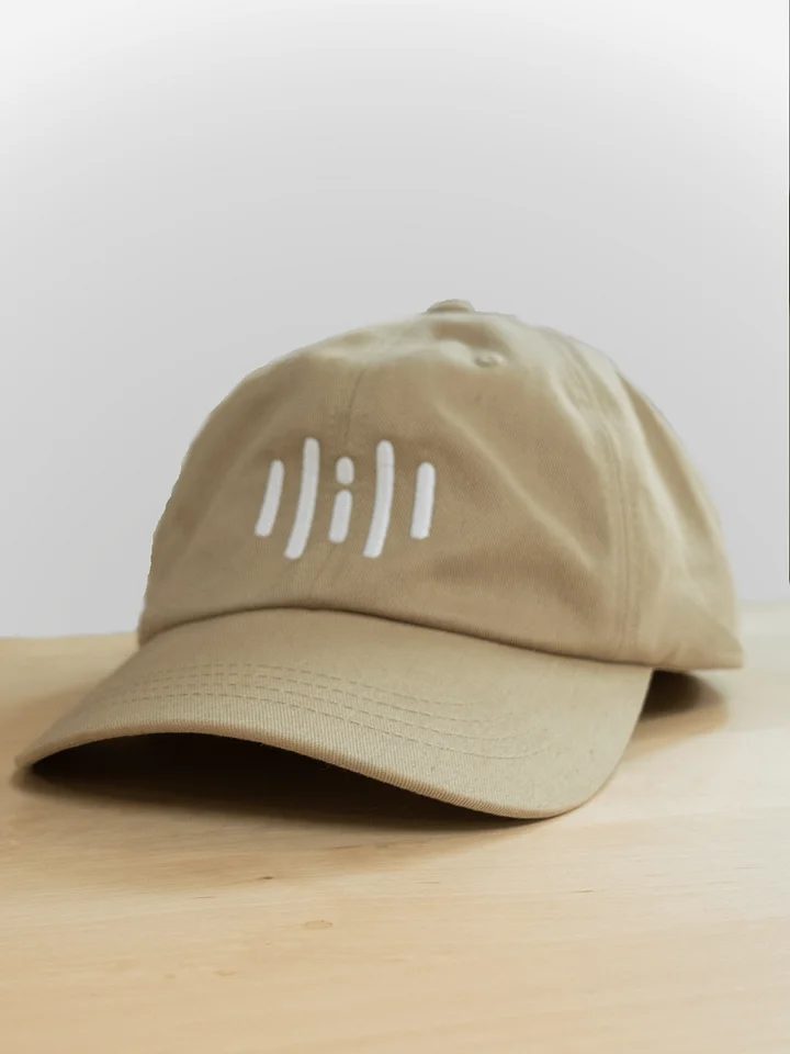 Did Logo Hat product image (1)
