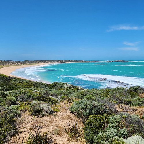 These turquoise waters are really something!
-
#oztrax4x4
#4x4
#remotetravel
#coastalsa
#camping
#adventure
#overland
#youtub...