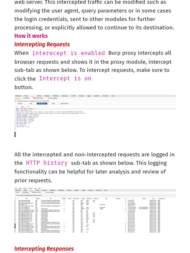 Burp Suite Notes | BSCP notes product image (2)