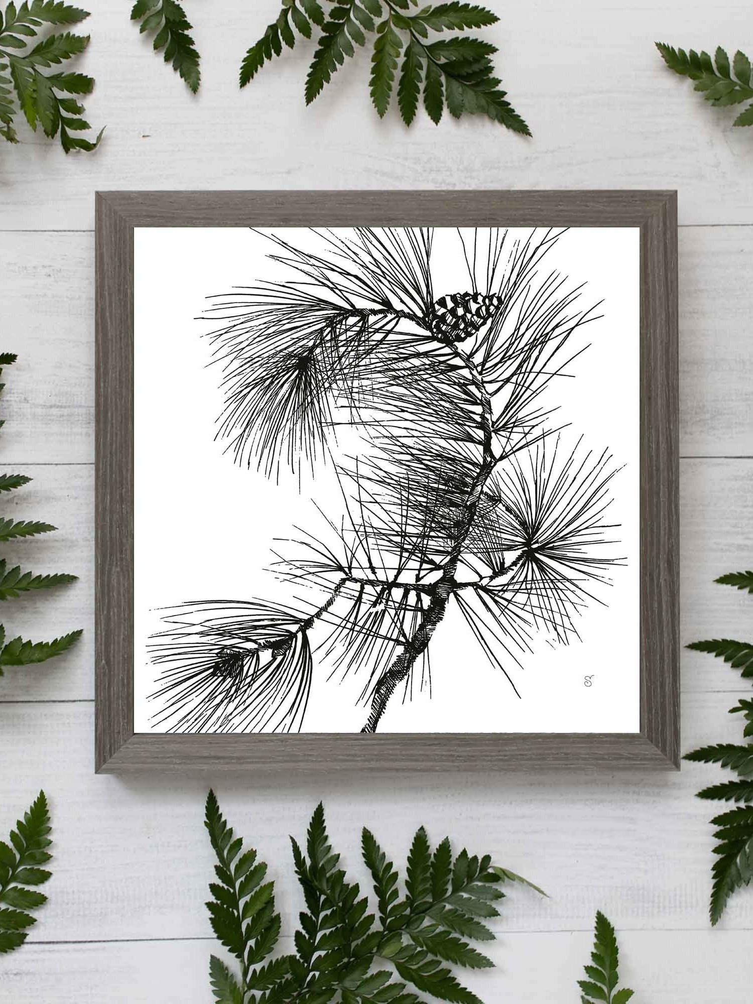 Blank Canvas Collection - Pine Branch product image (97)