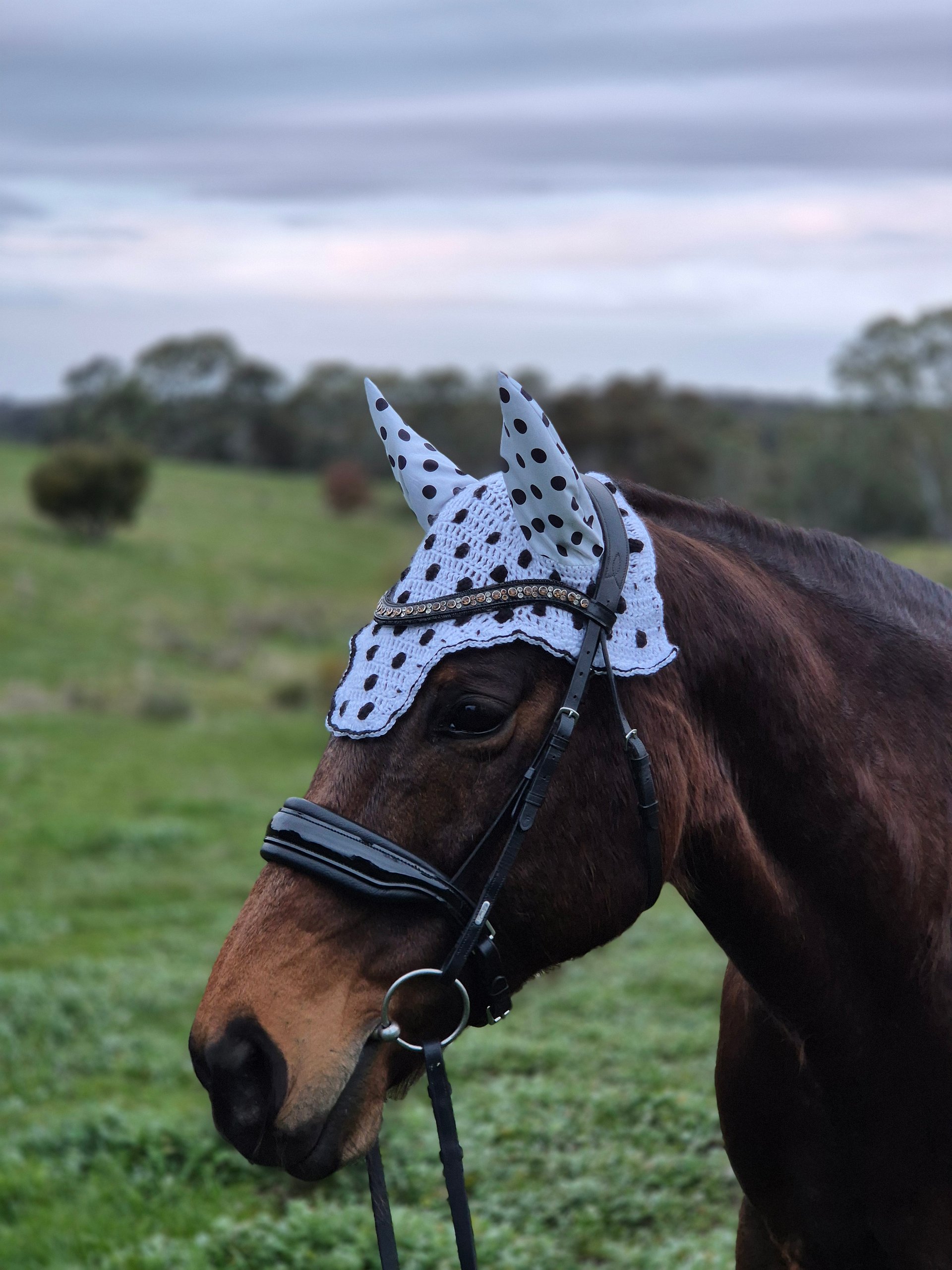 Square in Polka Dots product image (2)