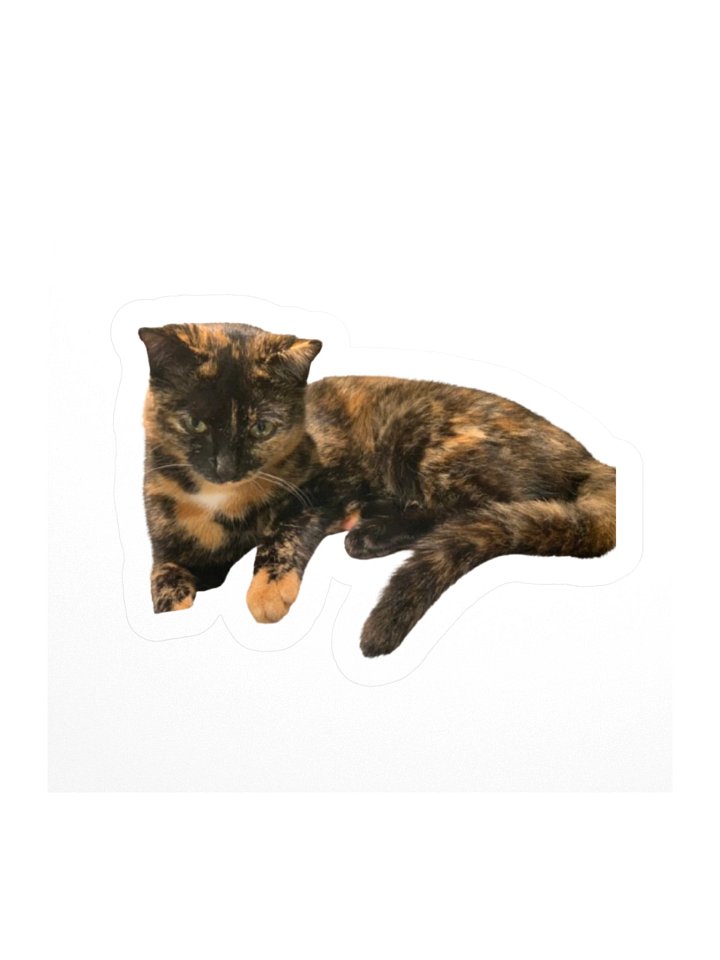 Stickat 😁 product image (2)