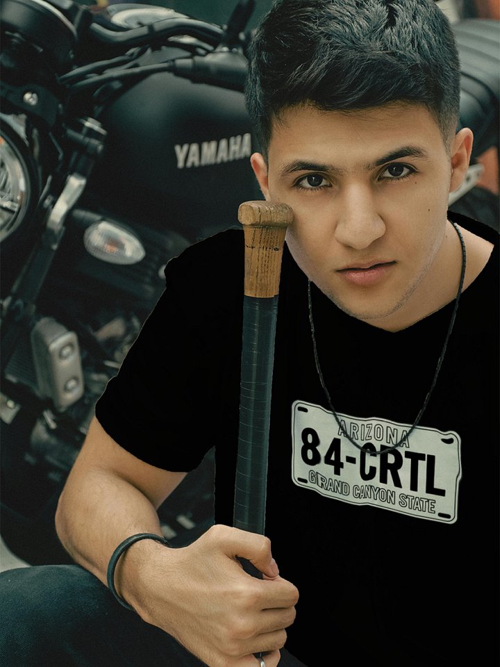 84-CRTL License Plate T-Shirt product image (1)