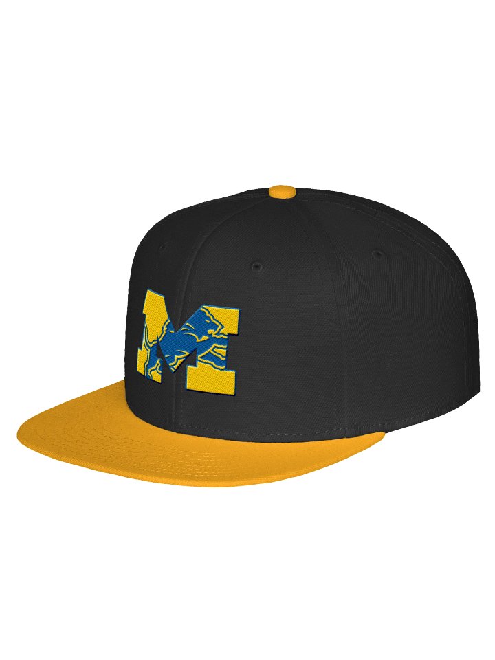 Michigan Lions Snap product image (34)