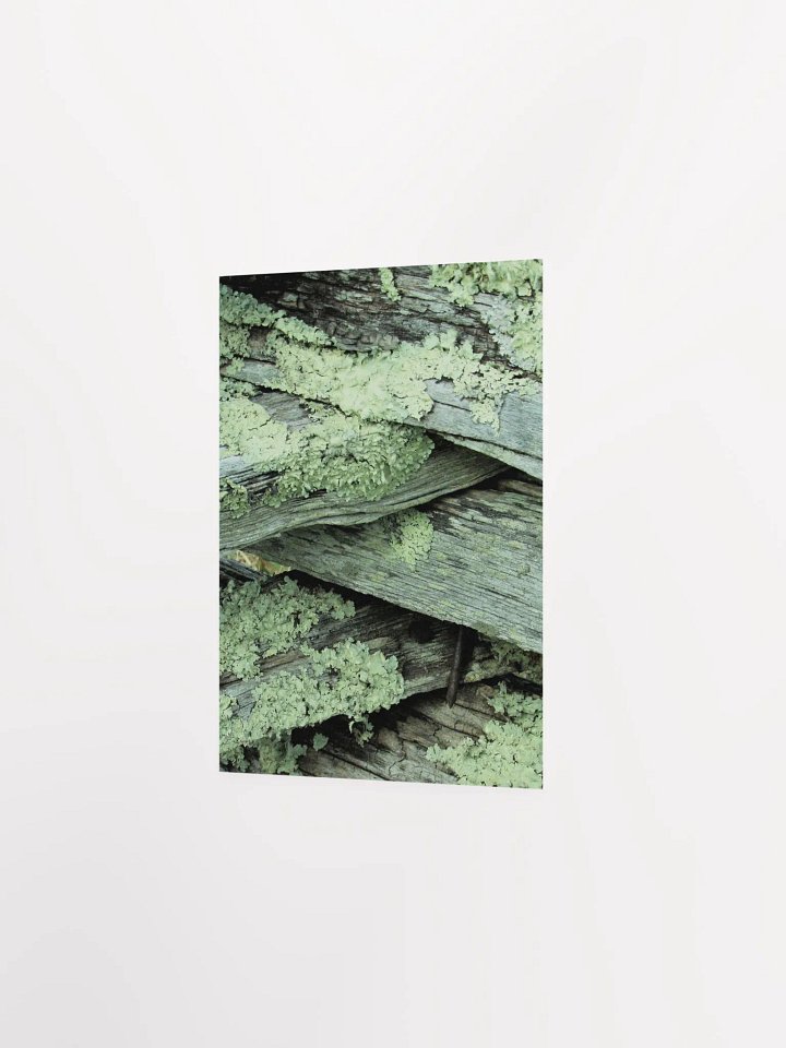 NC Moss product image (16)