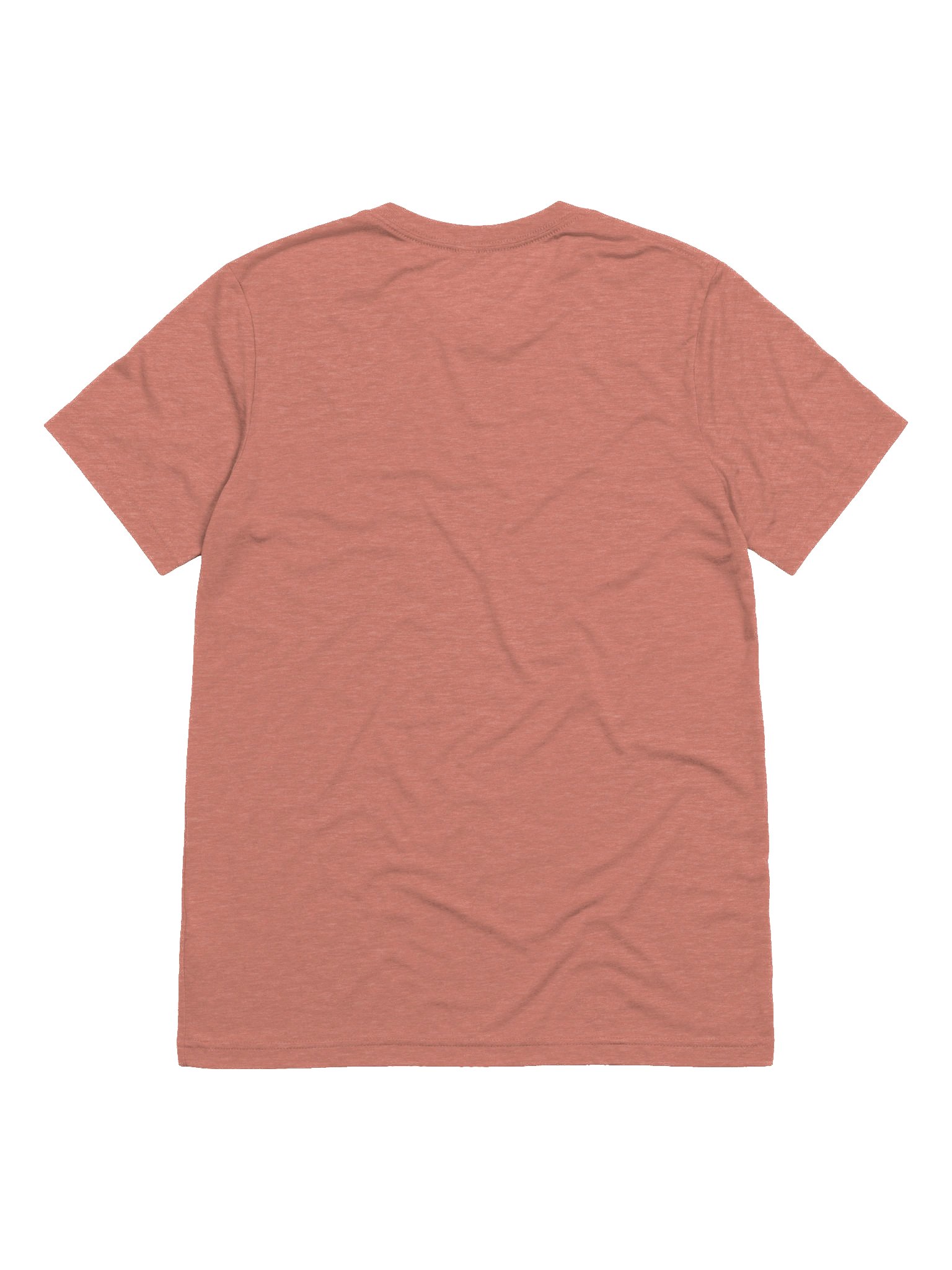 Fly Illustration Tri-Blend Tee product image (21)