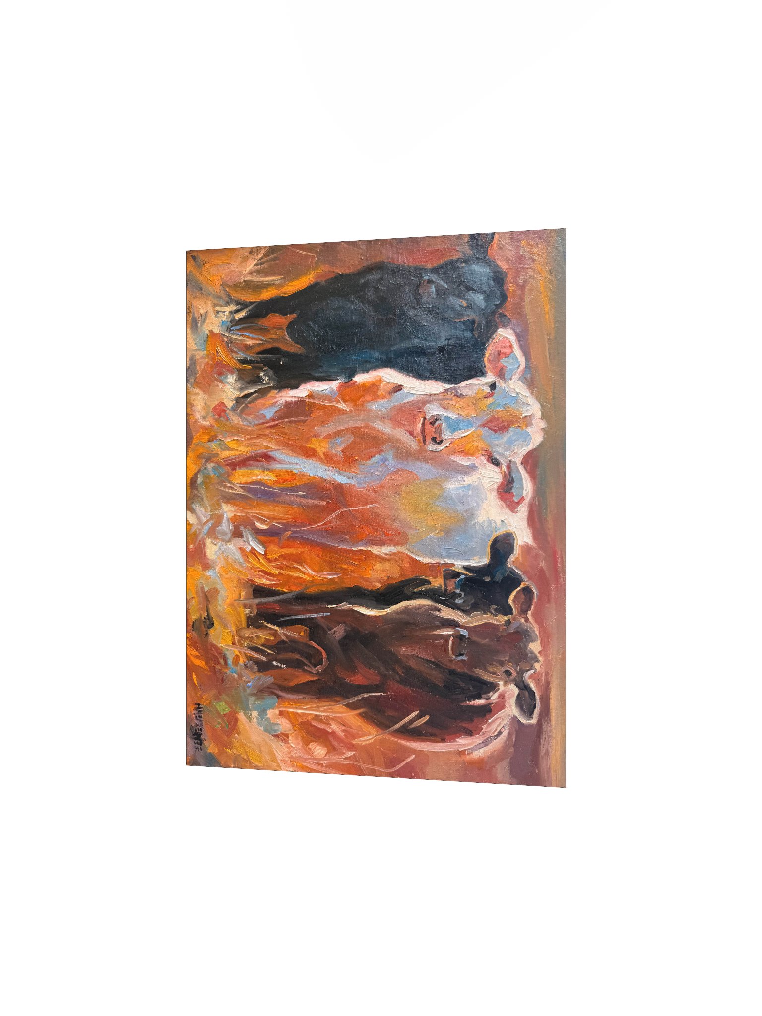 Heifers in Pasture Print product image (5)
