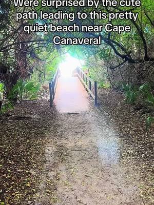 Peacock Beach, Florida #fyp #traveltiktok #florida #capecanaveral 