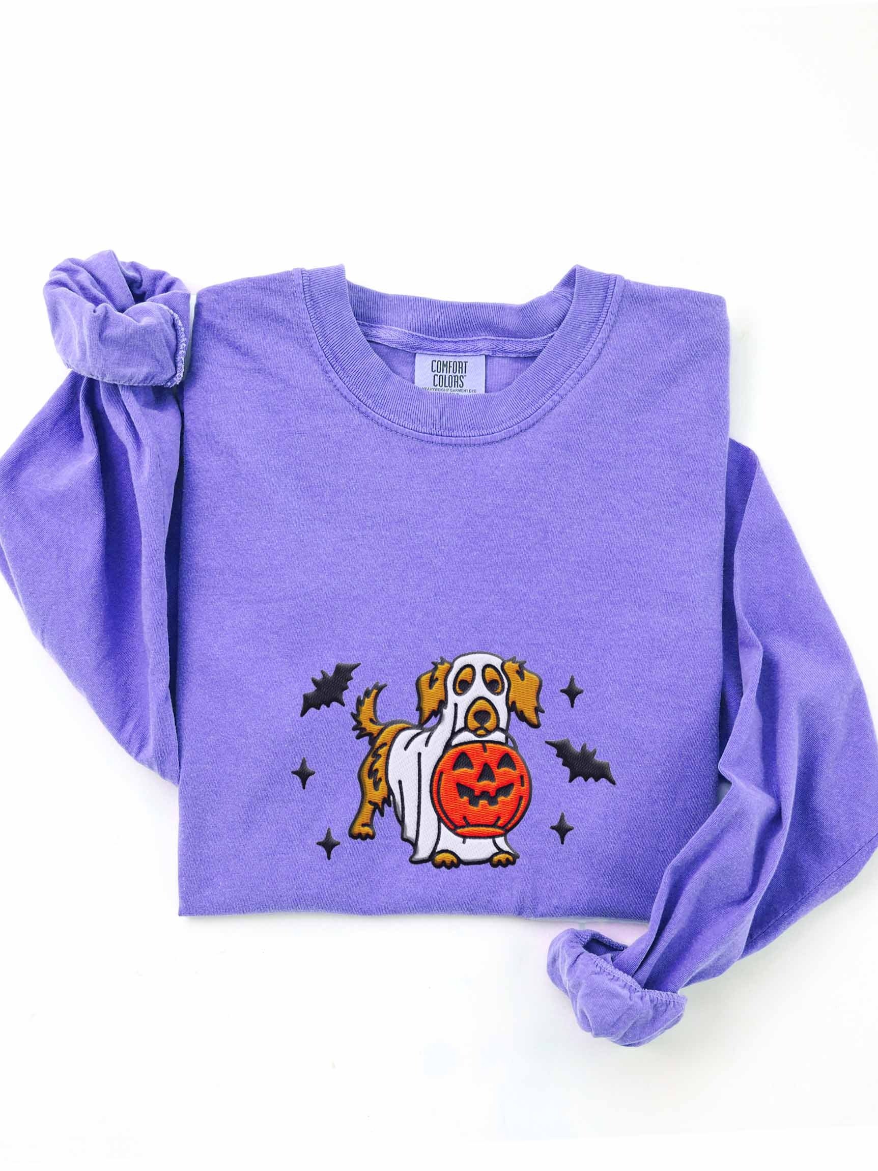 Halloween Longhaired Dachshund(Brown) Embroidered Long-sleeved T-Shirt product image (1)