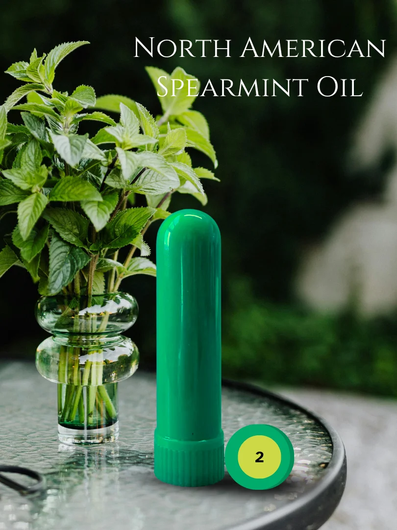 Olfaria Mint Odor Training Kit | 5 Single-Note Essential Oils | Scent Education | Train Your Nose product image (3)