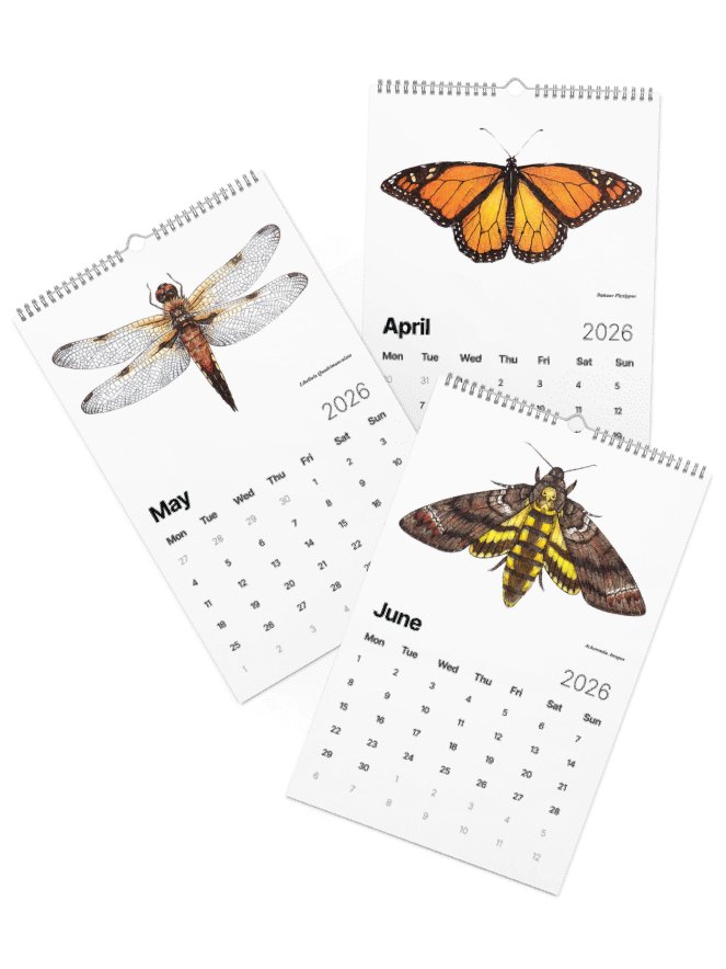 Insectum Abstractus • 2026 Calendar product image (31)
