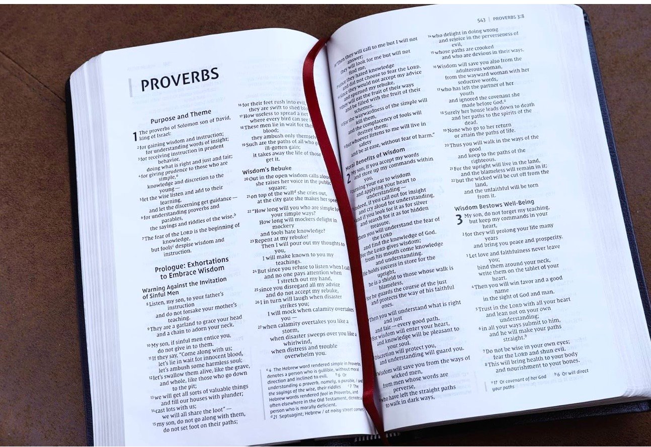 NIV BIBLE product image (3)