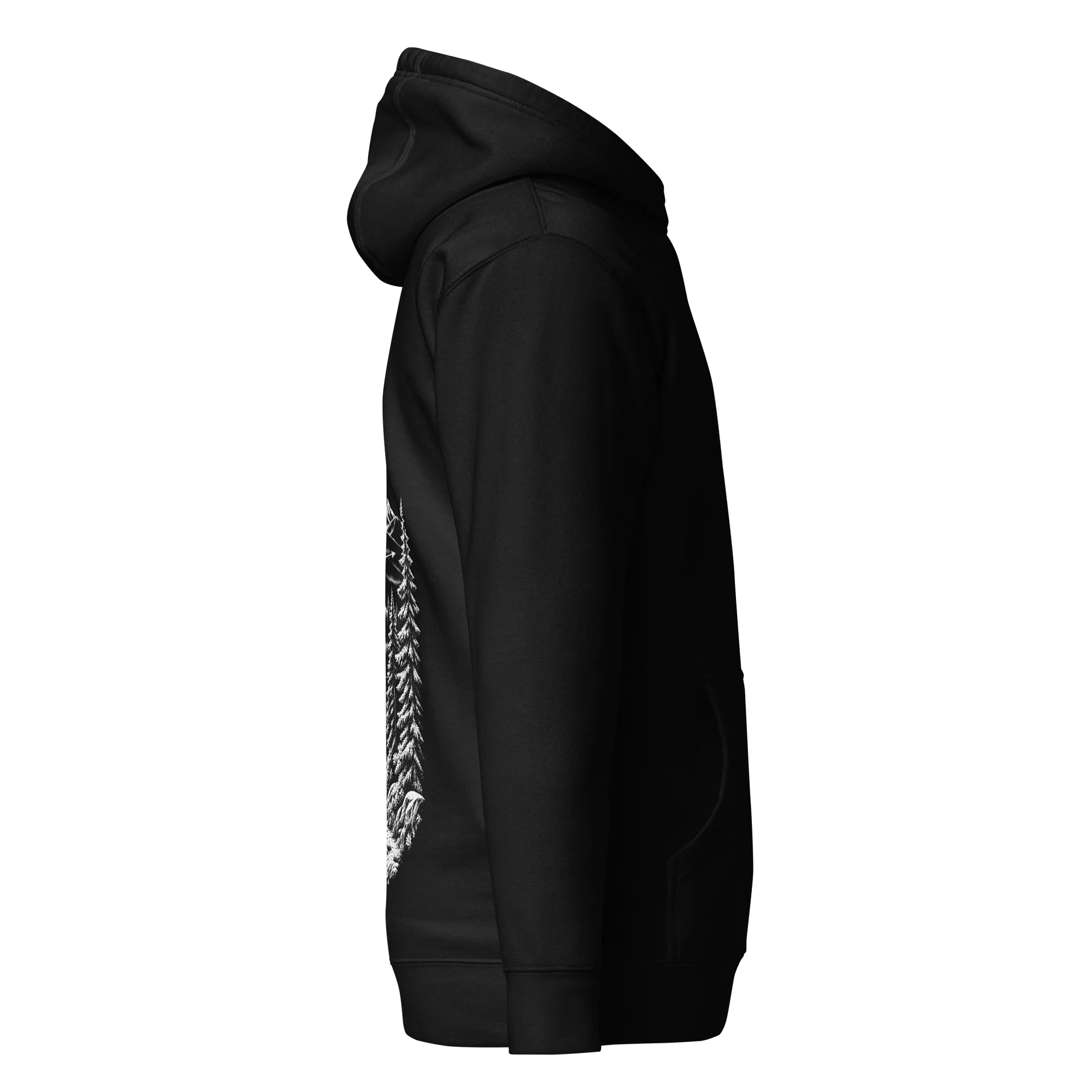 Arrow to the Peaks Hoodie product image (3)