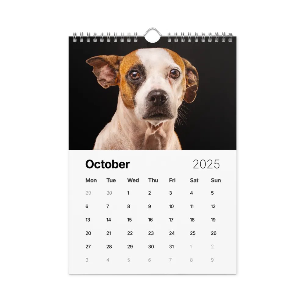 The first year - 2025 Calendar product image (10)