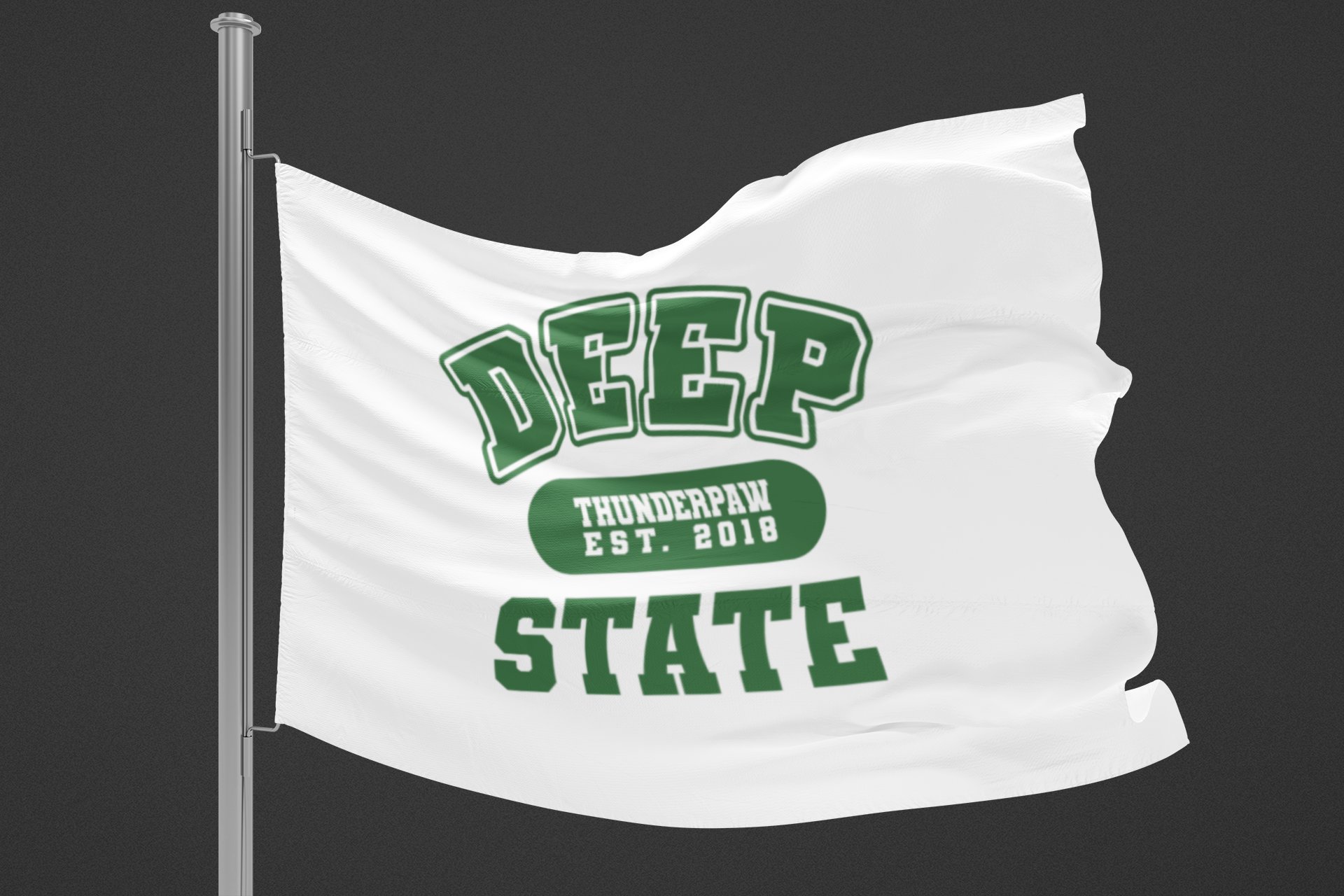 Deep State Varsity Flag / Wall Banner product image (4)