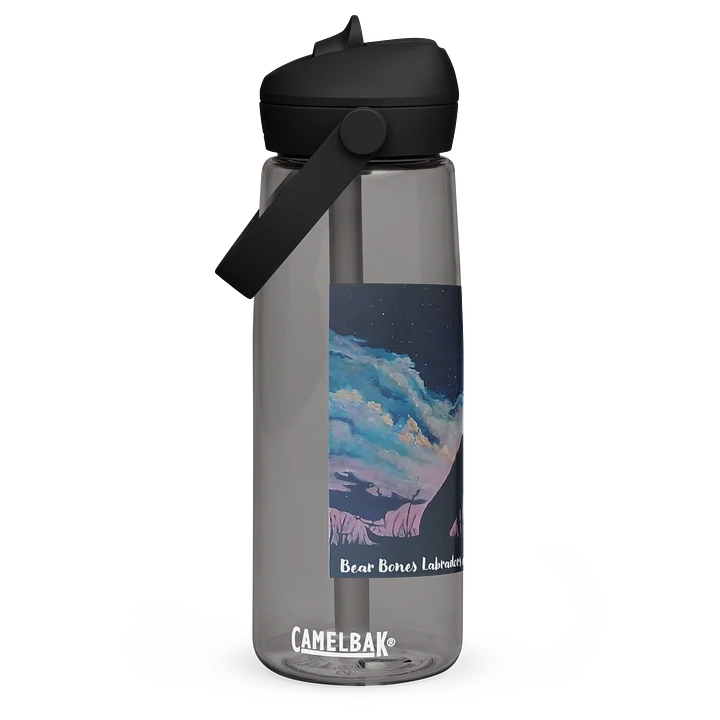 Water Bottle with Shawna Folden Design product image (3)