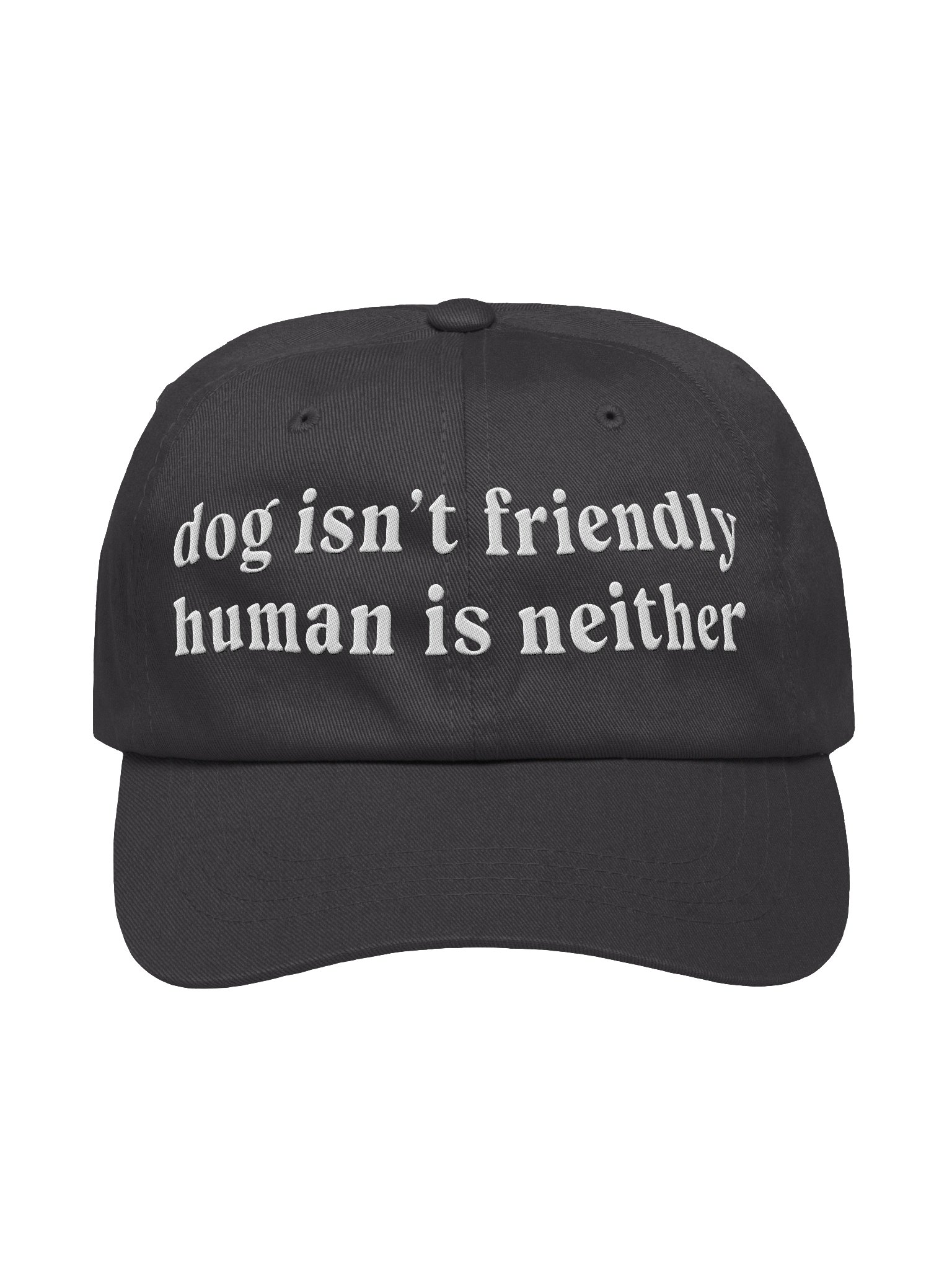 Dog Isn't Friendly. Human Is Neither (Embroidered) Classic Dad Hat product image (9)