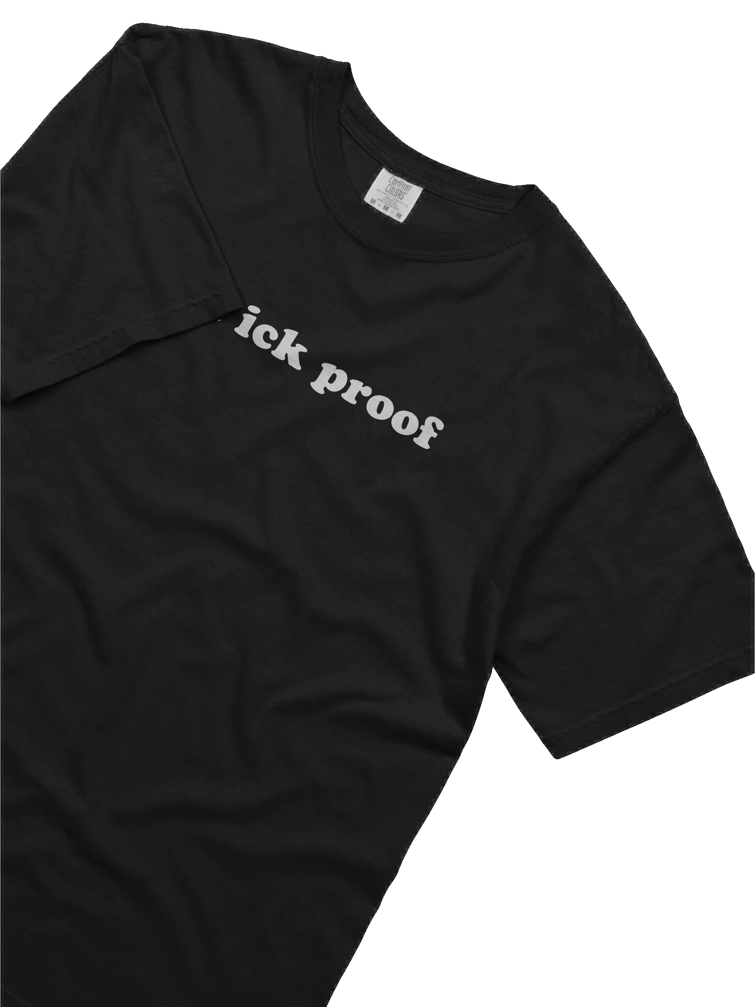 I'm Ick-Proof Comfort: Stylized Text Heavyweight Tee product image (3)