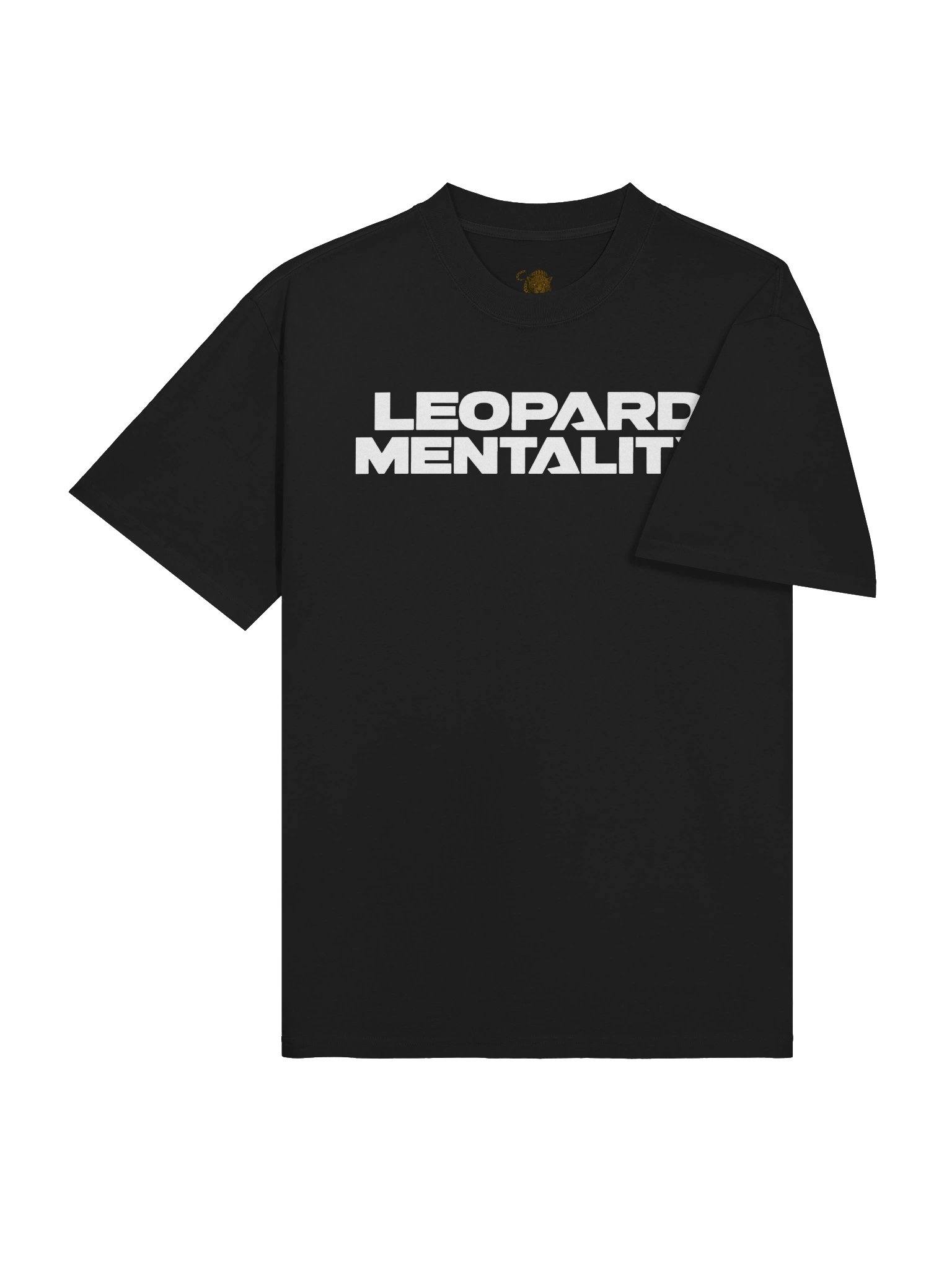 LM Quiet Defiance Oversized Unisex Tee product image (8)
