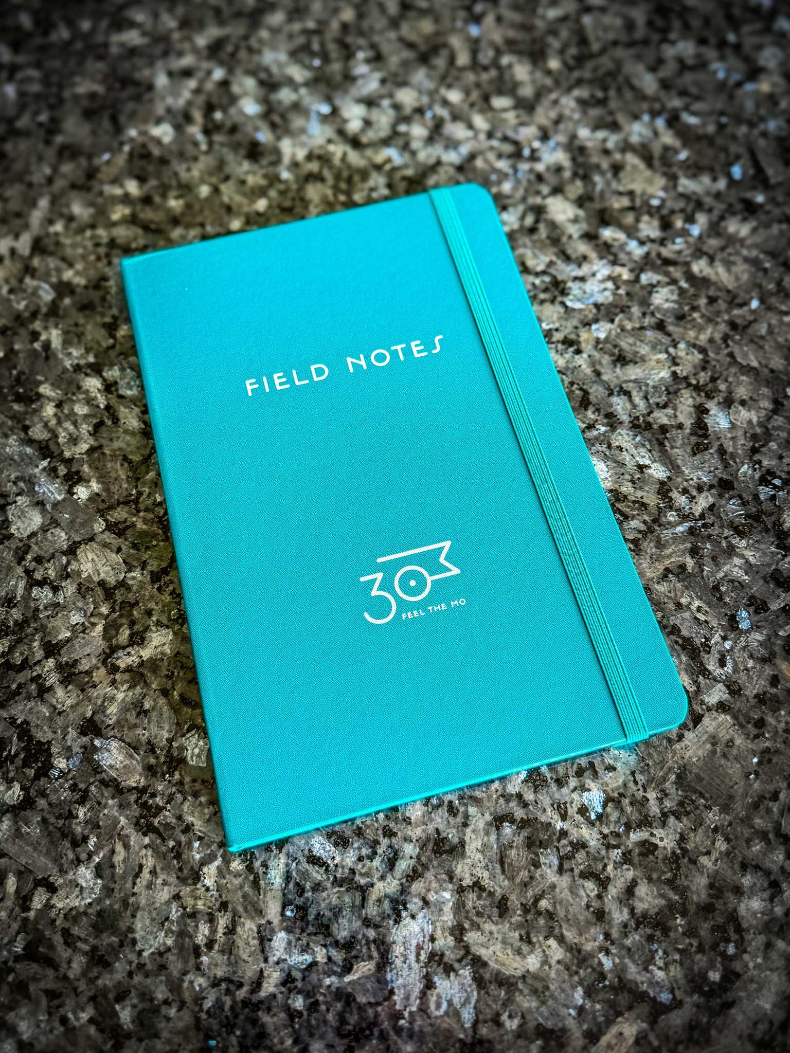 Field Notes Notebook / Feel the MO product image (8)