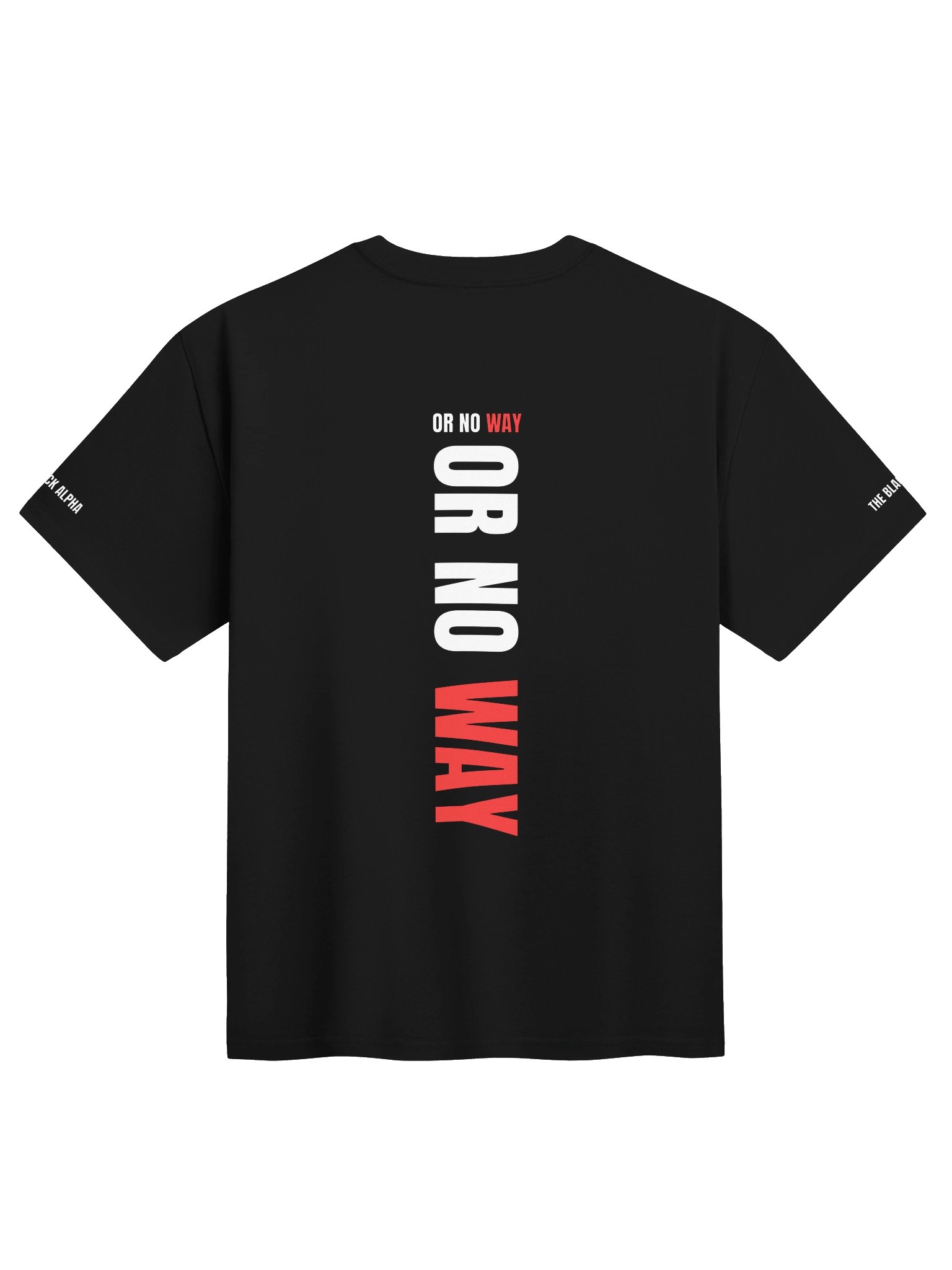 Alpha Way Heavy Tee product image (2)
