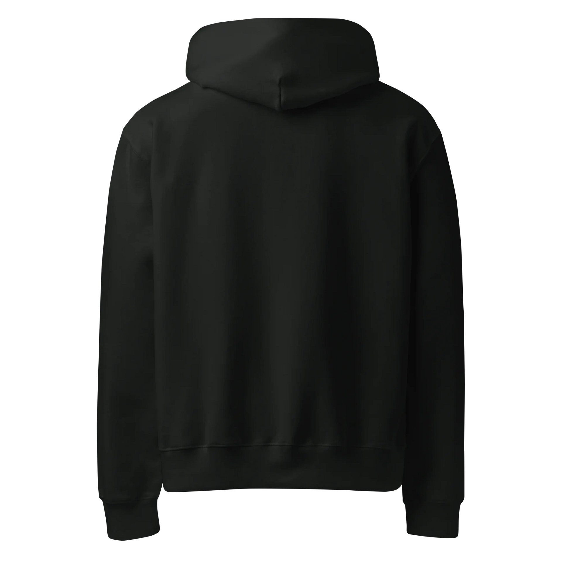 Echoing Storm Hoddie #4 product image (2)