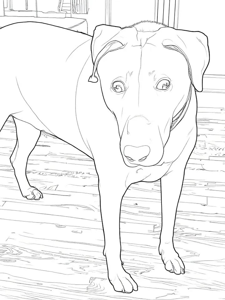 Belle Coloring Page (FREE Download) product image (1)