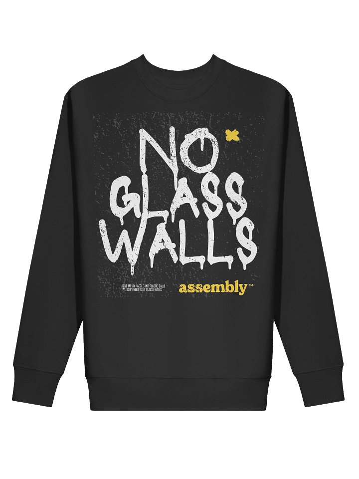 Protest Sweatshirt product image (2)