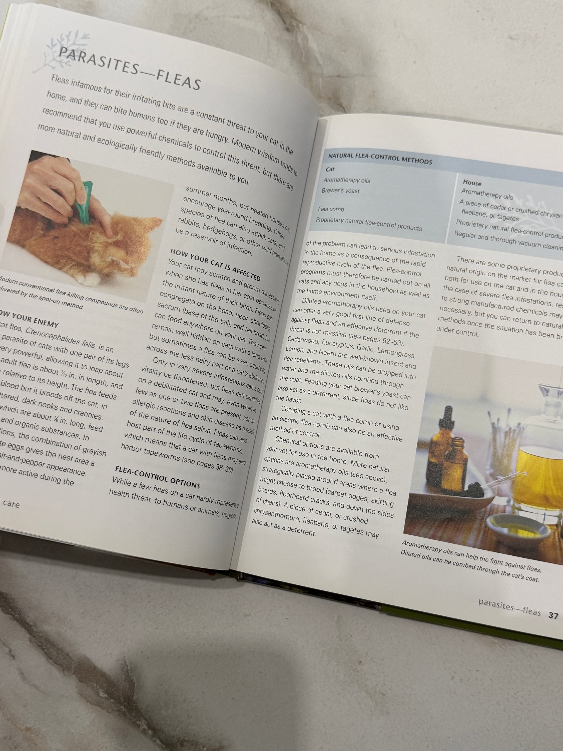 2010 | Natural Cat Care | Christopher Day | First Printing Hardcover product image (9)