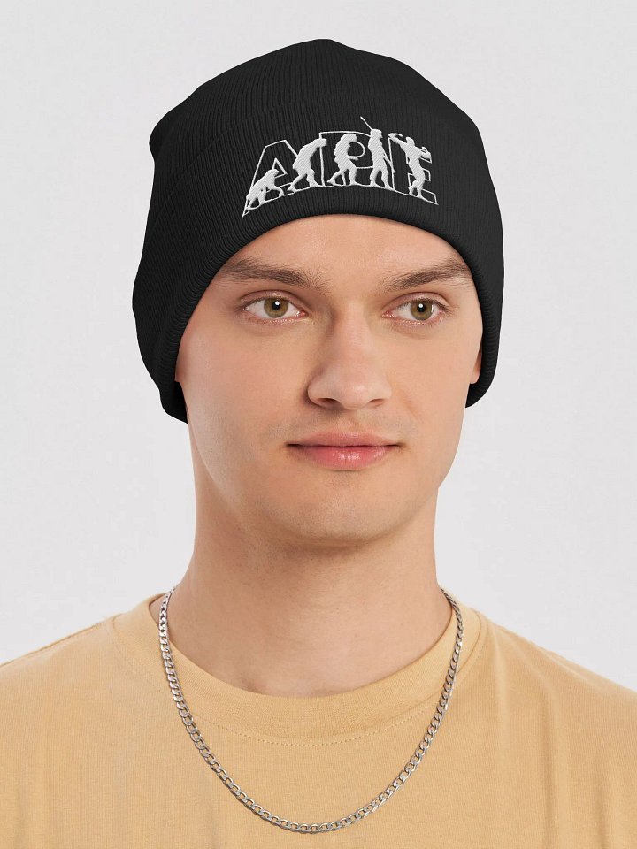 APEvolution Beanie [Men's] product image (1)
