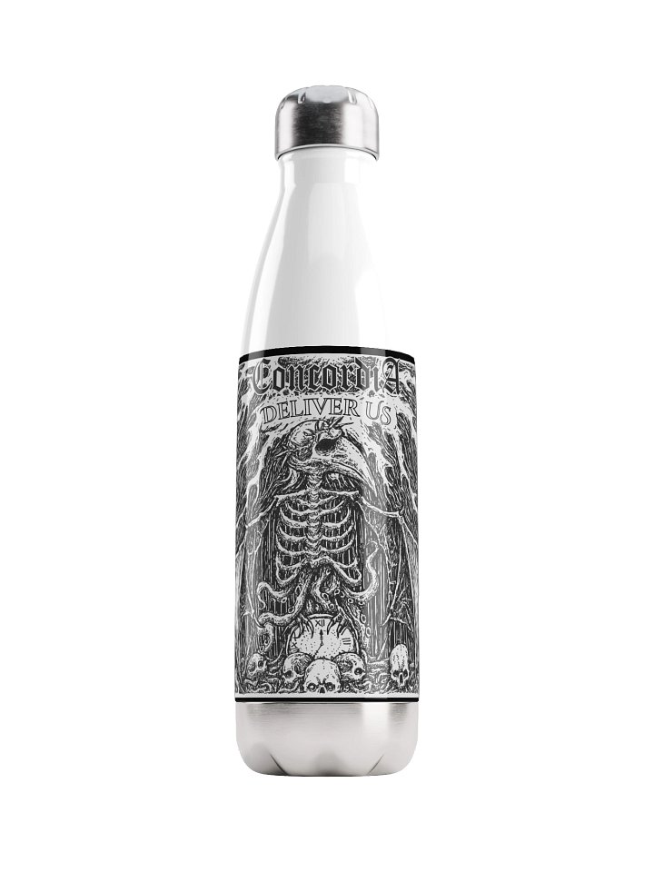 Steel bottle - Deliver Us product image (1)