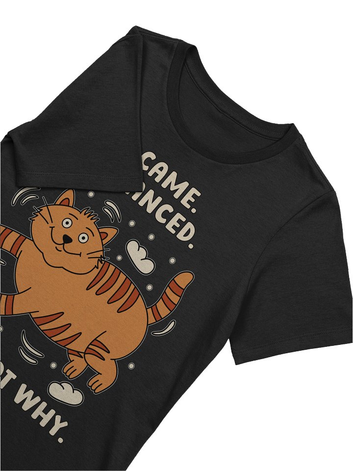 I Came. I Pranced. I Forgot Why. Cat Women's Relaxed-fit T-shirt product image (2)