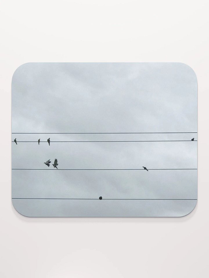 Bird Power product image (2)