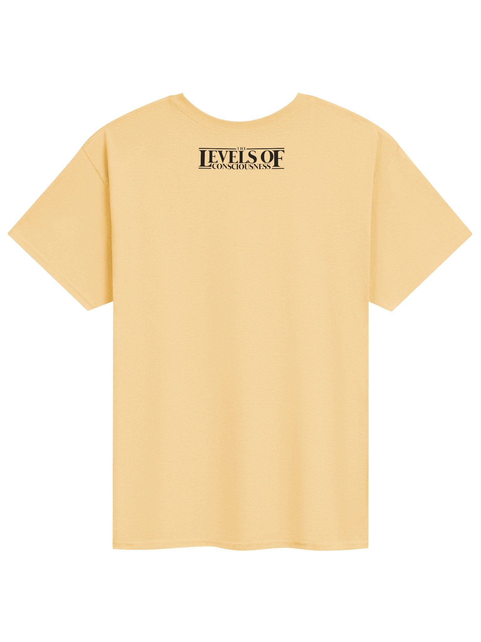 "Let's Make Contact With Holy Angels" Tee product image (16)
